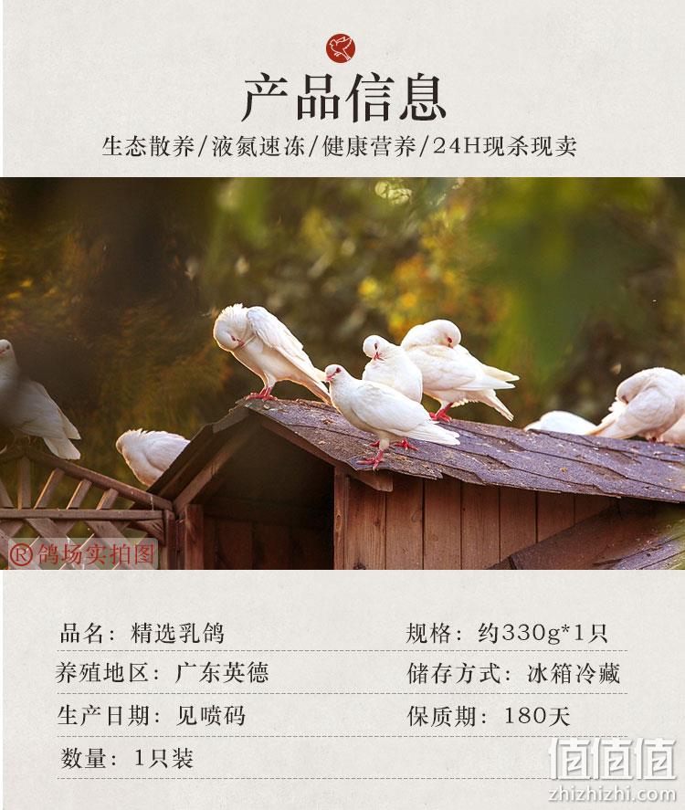 24H现杀新鲜空运，1只 山野色 散养乳鸽 约330g 券后15.9元包邮 值值值-买手聚集的地方
