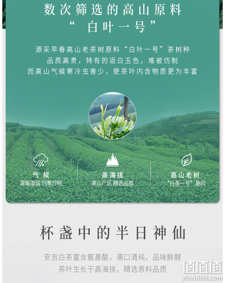 2020新茶上市，100g 梅府茗家 雨前安吉白茶 券后39元包邮 值值值-买手聚集的地方