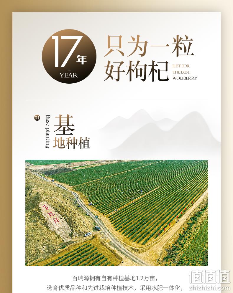 新闻联播报道，高于国家标准：210gx3袋 百瑞源 宁夏头茬枸杞 94元包邮 值值值-买手聚集的地方