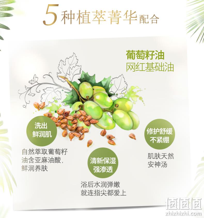 多芬 500gx2件 植萃精油沐浴露 券后64.9元包邮 值值值-买手聚集的地方