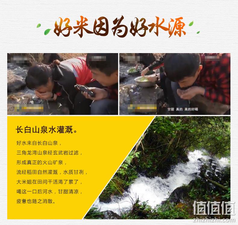 国家重点龙头企业，冷饭不回生：10斤 大米姐 柳河火山岩珍珠米 券后39元包邮 值值值-买手聚集的地方