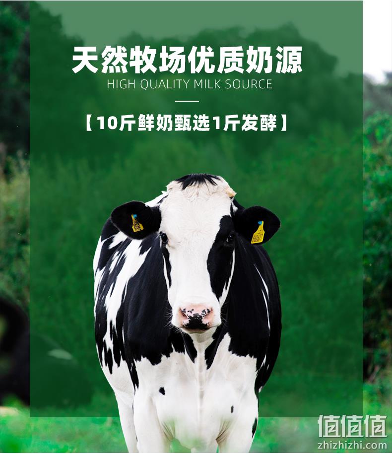 含乳量≥98% ：2斤x2瓶  兰格格  原味纯酸奶  29.9元包邮 值值值-买手聚集的地方