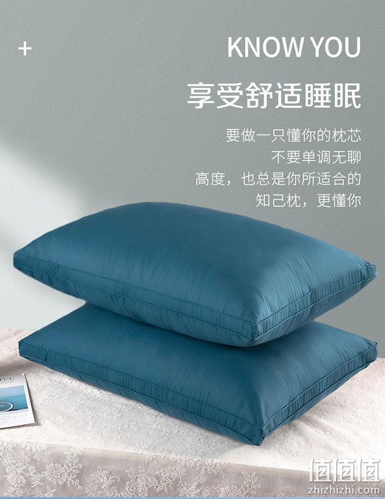 亲肤磨毛可水洗,拉链高度随心调:真爱 亲肤磨毛枕芯 10.9元起包邮,带枕套14元 值值值-买手聚集的地方
