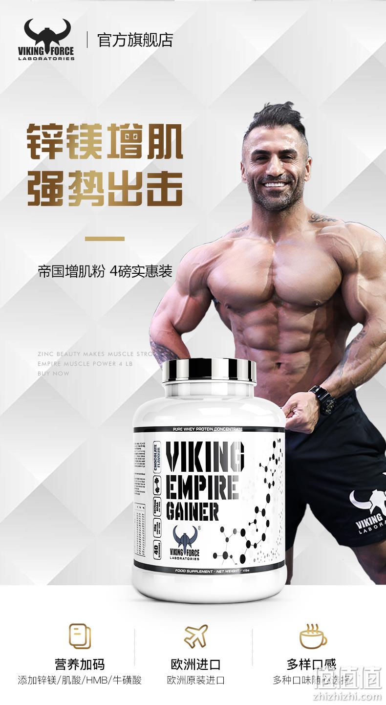 瑞典进口 VIKING FORCE LABORATORIES 北欧海盗 乳清蛋白粉增肌粉1磅 49.9元包邮 值值值-买手聚集的地方