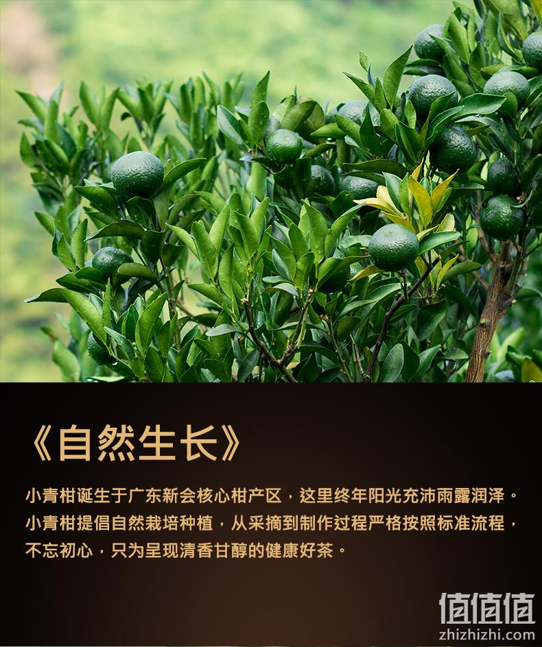 木冠 新会生晒小青柑 6年陈宫廷普洱茶 100g 券后29元包邮 值值值-买手聚集的地方
