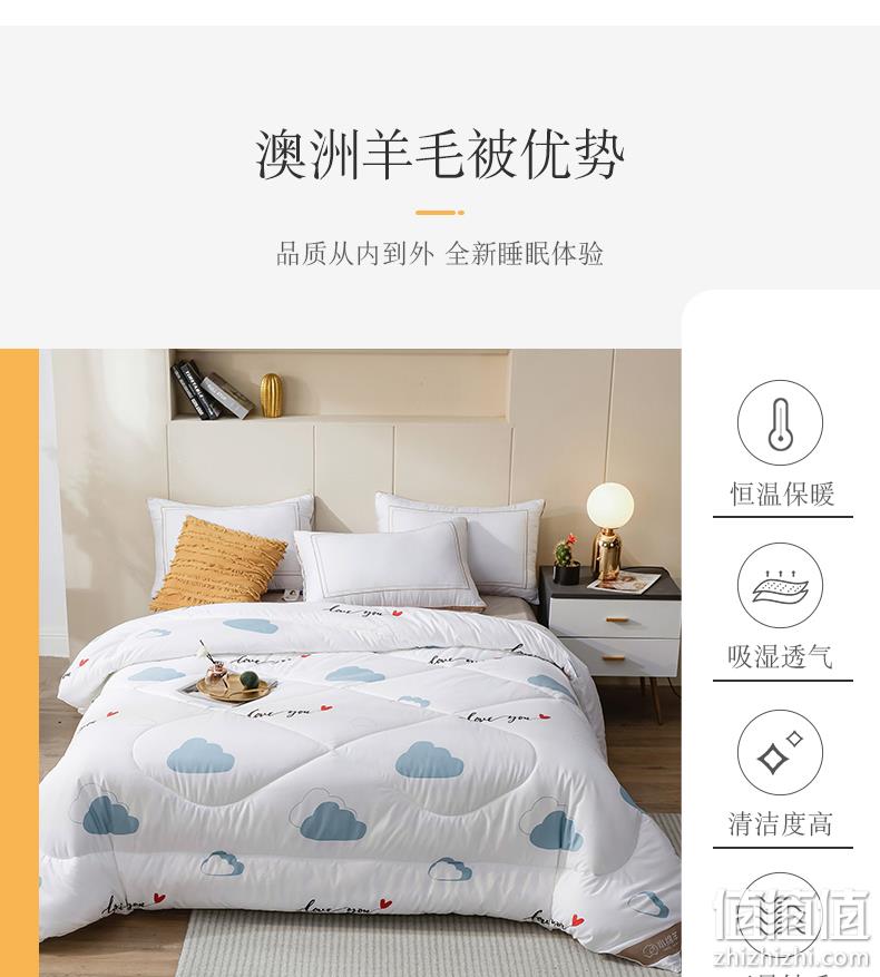 史低！上海著名商标，澳洲进口羊毛，抗菌防螨：小绵羊 保暖羊毛被子 89元起包邮（之前推荐99元） 值值值-买手聚集的地方