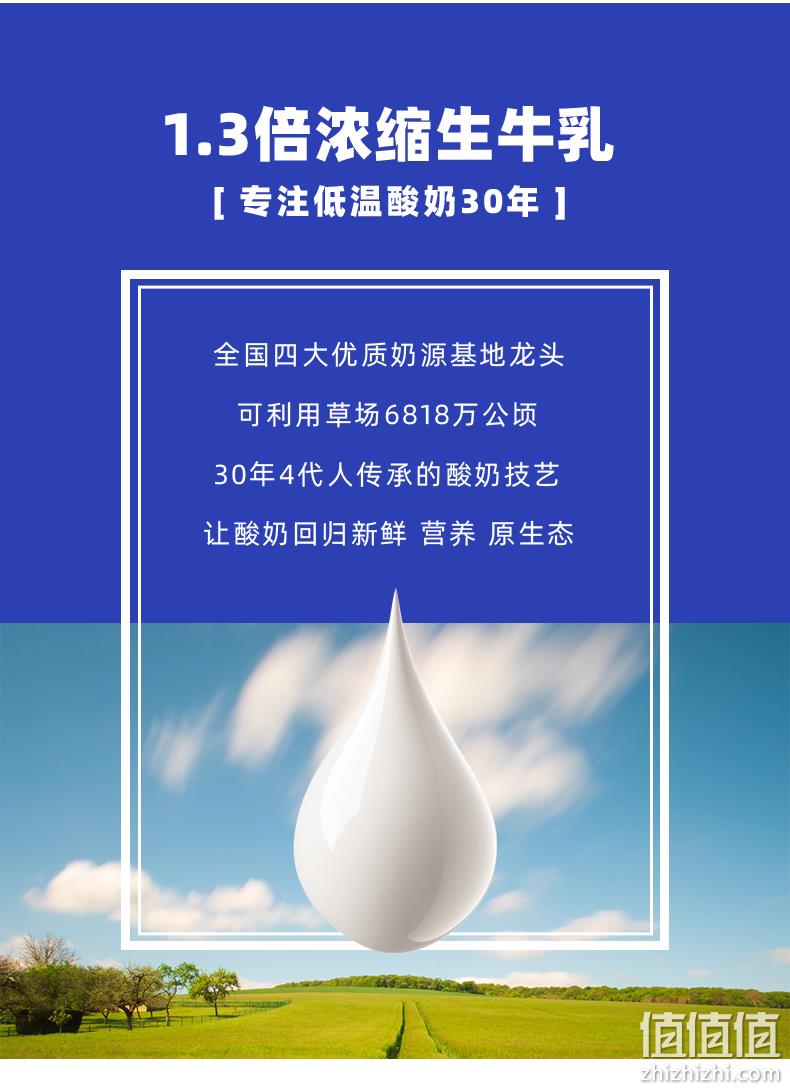 含乳量≥98% ：2斤x2瓶  兰格格  原味纯酸奶  29.9元包邮 值值值-买手聚集的地方