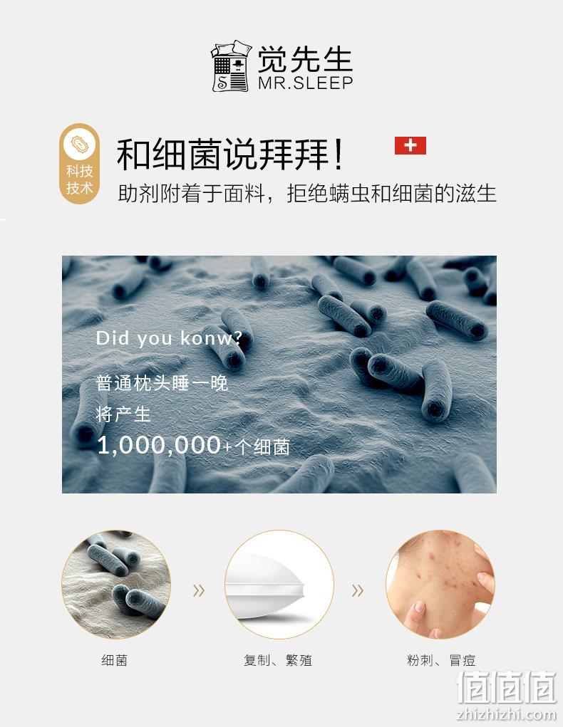 A+健康标准，100%抗菌亲肤水洗棉：2只 觉先生 羽丝绒绣花枕头 29.9元起包邮 值值值-买手聚集的地方