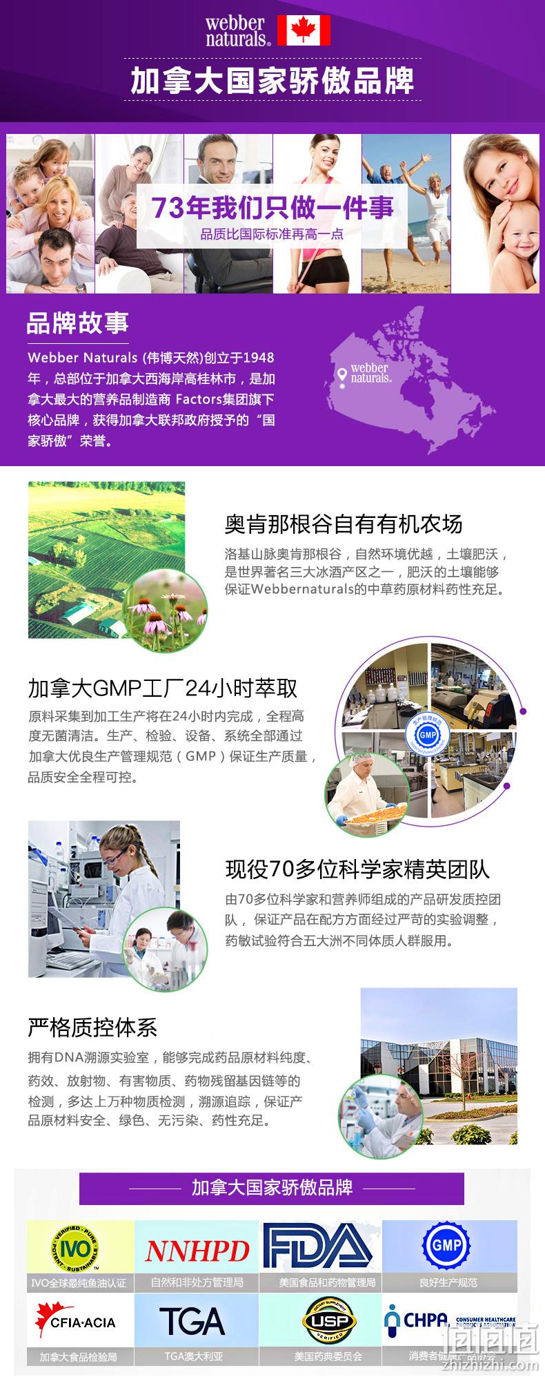 临期特价！加拿大国家骄傲品牌，Webber Naturals 伟博 金瓶升级版安睡宝 草本睡眠片 90片 19元包邮包税 值值值-买手聚集的地方