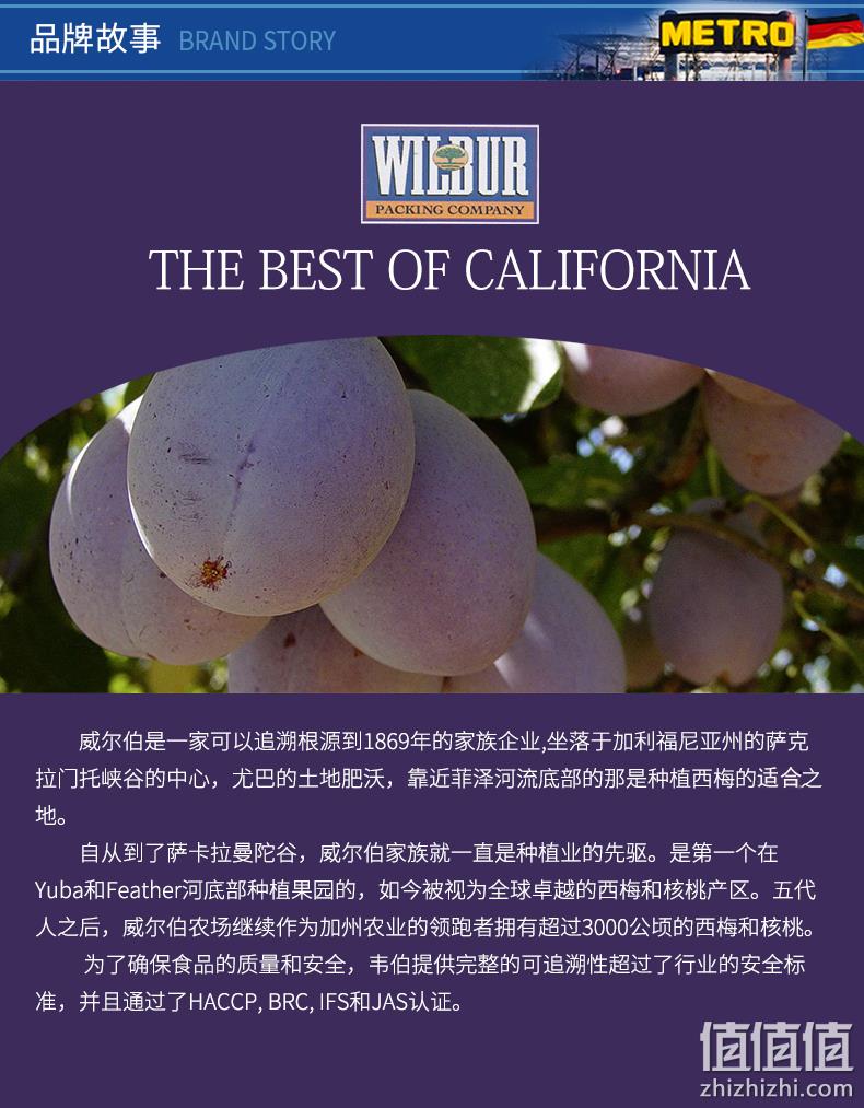美国进口：麦德龙 Wilbur去核西梅干 500gx2桶 券后54.9元包邮 值值值-买手聚集的地方