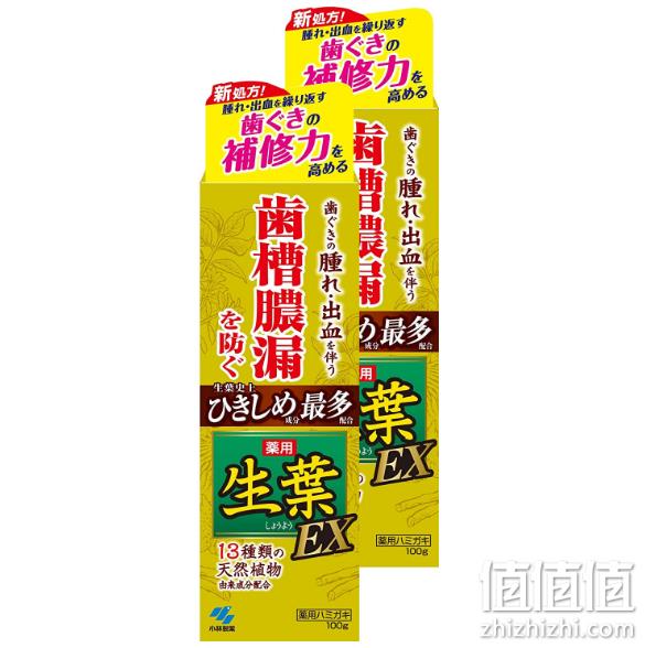 针对牙龈问题 KOBAYASHI 小林制药 生叶EX增强版中药牙膏 100gx2支 119.22元包邮（淘宝80+元/支） 值值值-买手聚集的地方