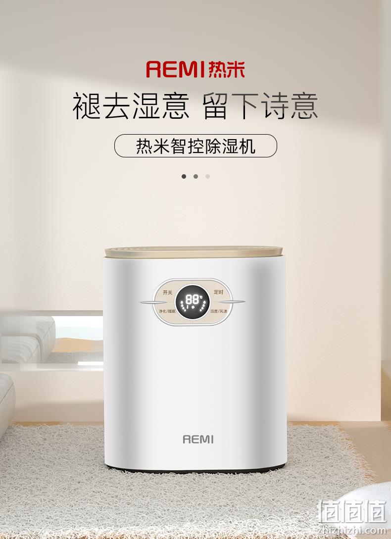 负离子净化+除湿：热米 RM-01 家用净化除湿机 168元顺丰包邮 值值值-买手聚集的地方