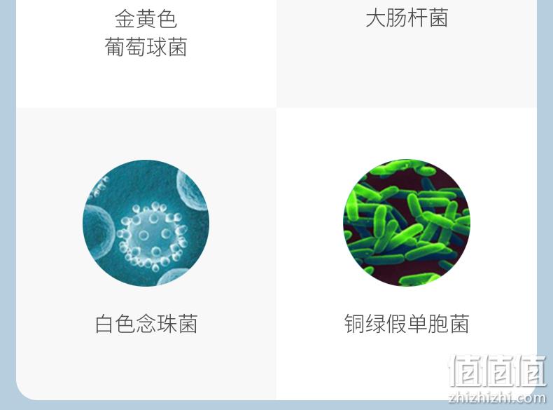 药店同款，免洗速干：500ml winner稳健 守护嘉 消毒凝胶 19.9元包邮 值值值-买手聚集的地方