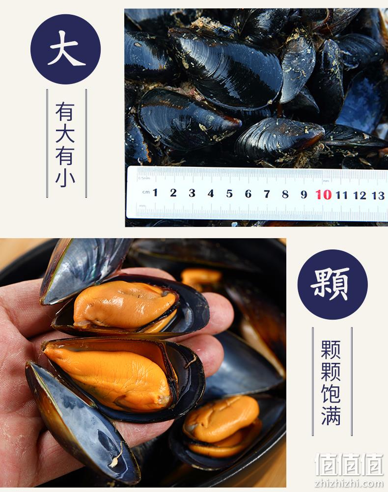 优全生鲜 山东特产 中小号海虹青口贝 5斤 22.9元包邮（中大果27.9元） 值值值-买手聚集的地方