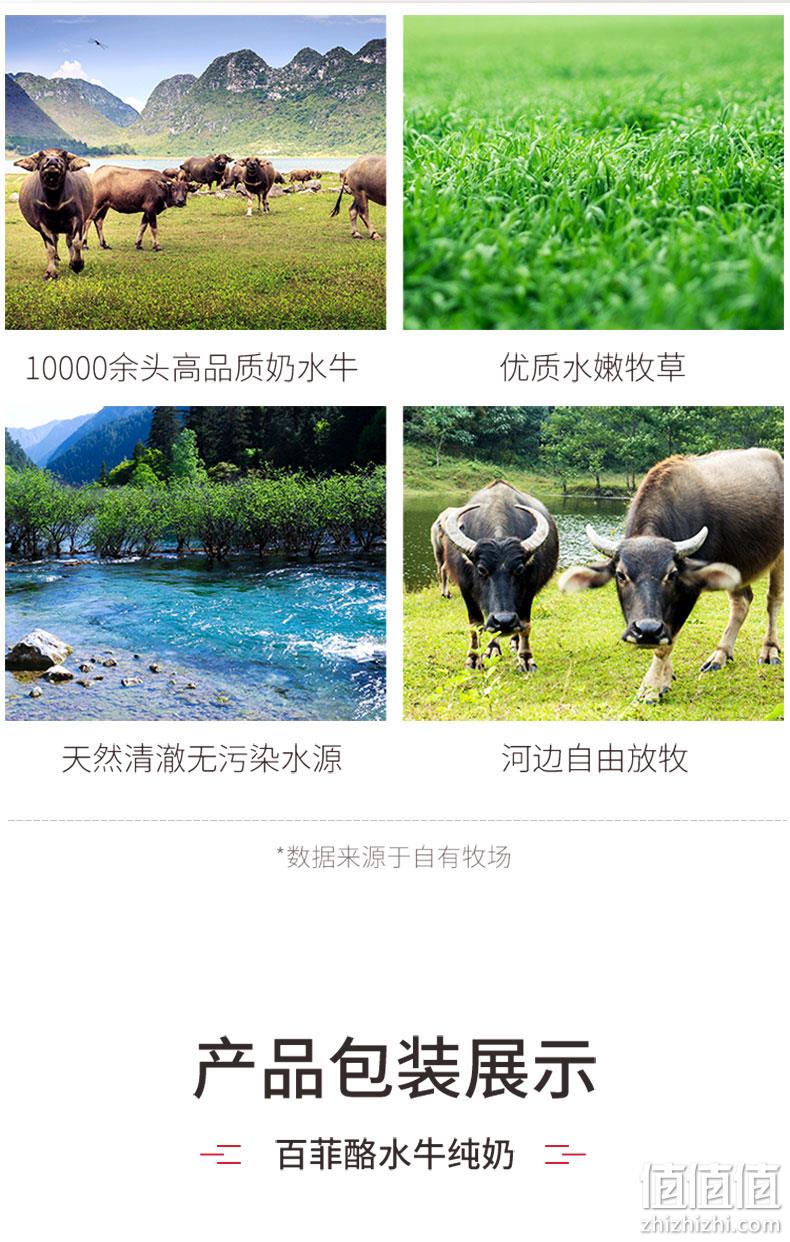 奶中珍品 3.8g乳蛋白 0添加 200mlx20盒 百菲酪 水牛纯奶 券后89.8元包邮 值值值-买手聚集的地方