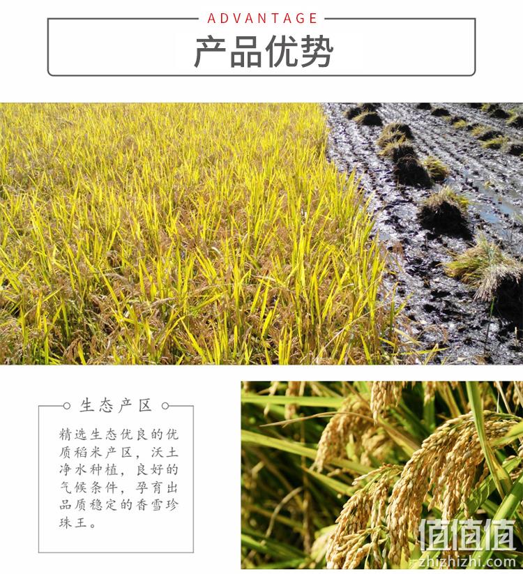 太粮 香雪珍珠王 苏北粳米 10斤 券后27.9元包邮 值值值-买手聚集的地方