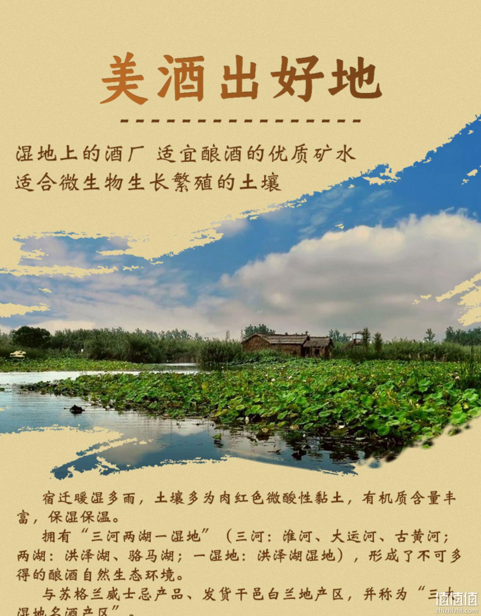 苏州四大名酒：480ml 双沟 紫陶坊 坊3 40度浓香型纯粮白酒 双重优惠90元包邮 值值值-买手聚集的地方