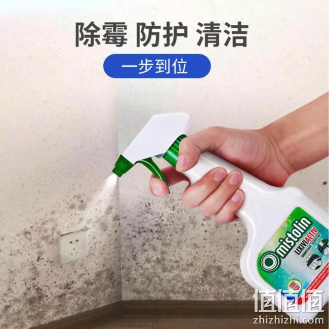 欧洲进口：Mistolin 米斯特林 墙体墙面除霉剂 500ml 券后38元包邮 值值值-买手聚集的地方