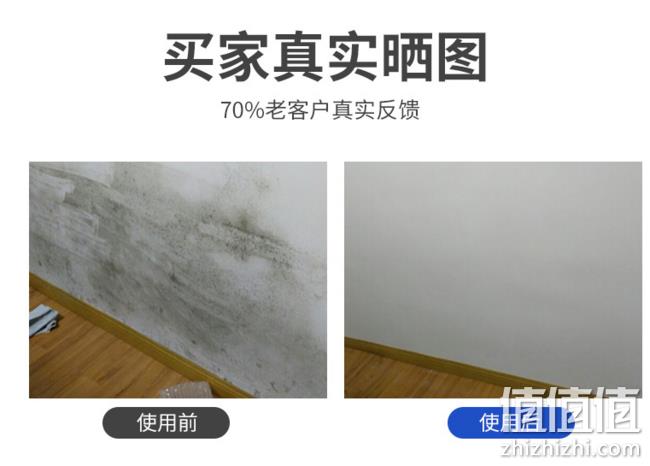 欧洲进口：Mistolin 米斯特林 墙体墙面除霉剂 500ml 券后38元包邮 值值值-买手聚集的地方