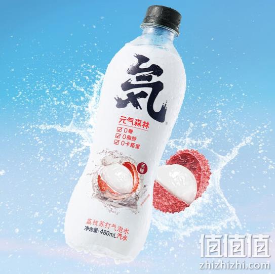 元気森林 苏打气泡水 荔枝味 480mlx12瓶 54.11元 值值值-买手聚集的地方