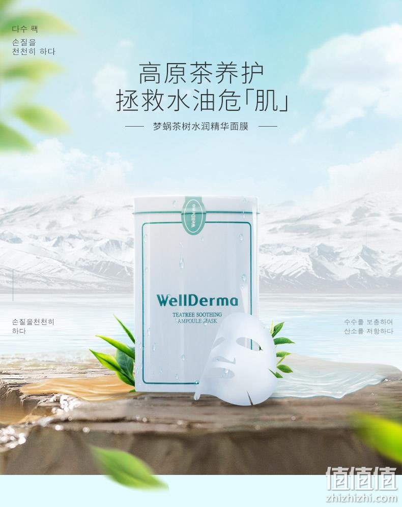 韩国进口 WellDerma 梦蜗 茶树水润精华面膜 10片 39元包邮 值值值-买手聚集的地方