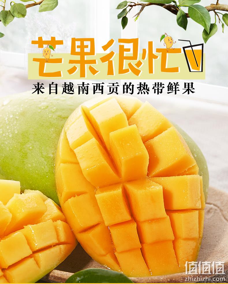 核薄无丝、单果重200g：誉福园 越南进口玉芒 9斤大果 29.8元包邮 值值值-买手聚集的地方