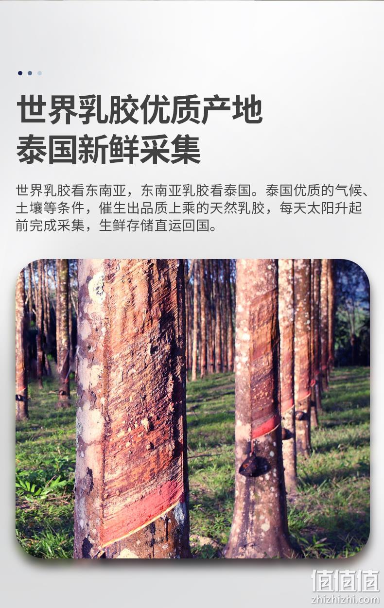 4.9分，央视展播品牌：Jago佳奥 泰国天然乳胶枕头 按摩款 券后39元包邮 值值值-买手聚集的地方
