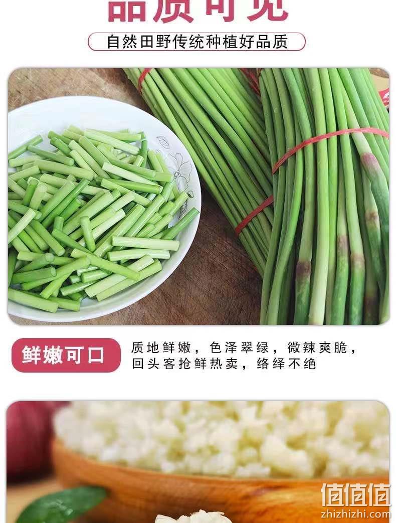 农家自种，金壑 2021年新鲜河南现摘蒜苔 5斤14.9元，10斤29.9元 值值值-买手聚集的地方