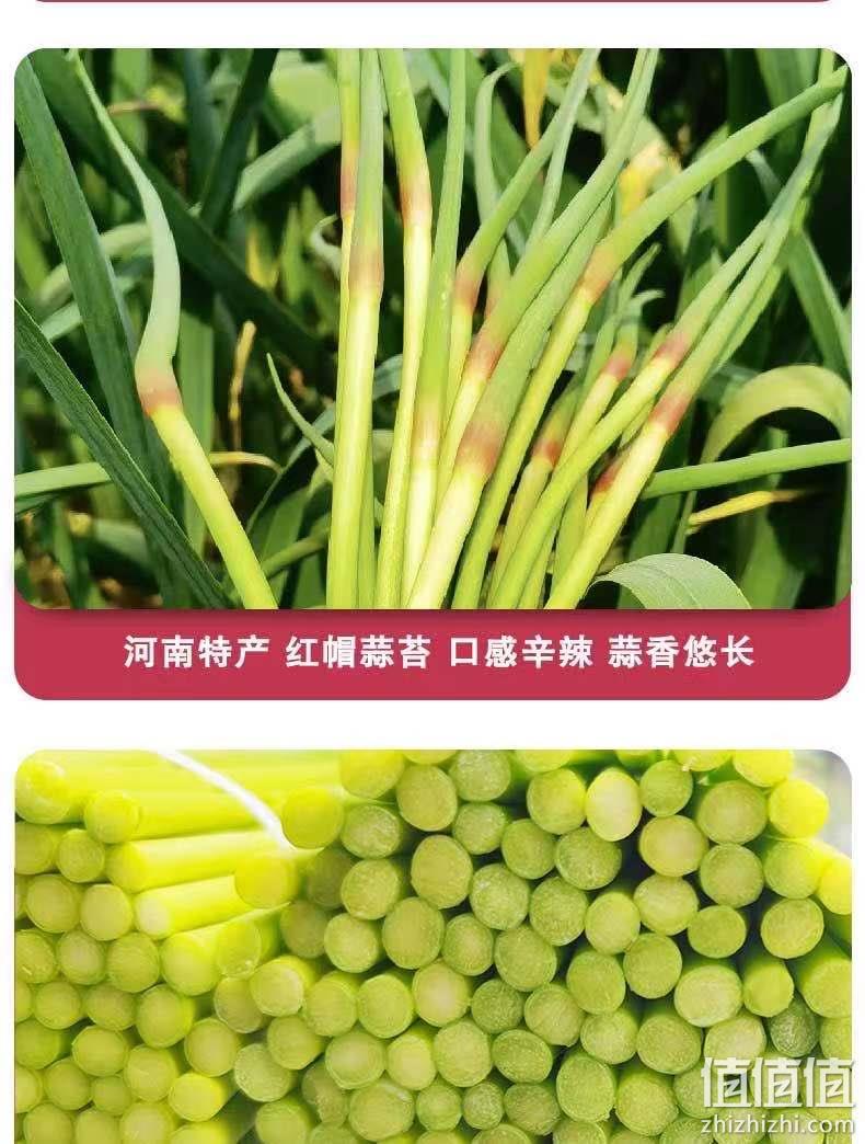 农家自种，金壑 2021年新鲜河南现摘蒜苔 5斤14.9元，10斤29.9元 值值值-买手聚集的地方
