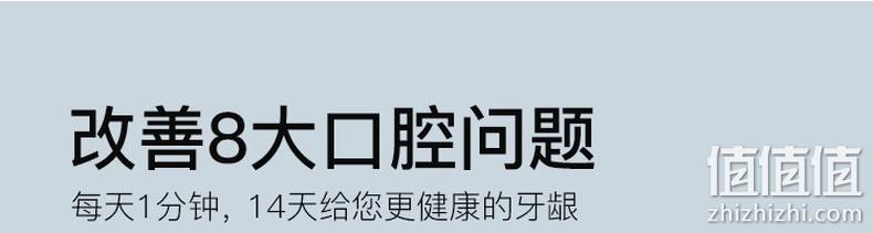 网易智造 方便快捷式水牙线 券后110元免邮 值值值-买家集聚的地区