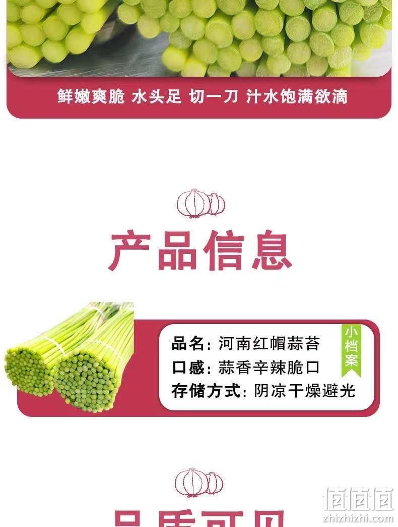 农家自种，金壑 2021年新鲜河南现摘蒜苔 5斤14.9元，10斤29.9元 值值值-买手聚集的地方