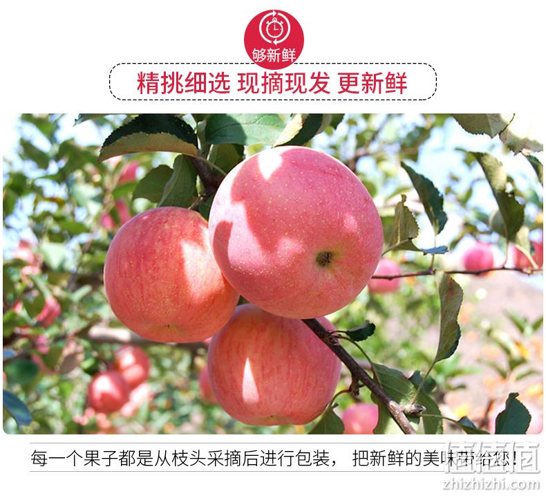 北京奥运会食材供应商：5斤 绿行者 山东红富士苹果 80~85mm 双重优惠18.9元包邮 值值值-买手聚集的地方