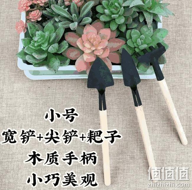 养花赶海神器：三件套 花举人 园艺工具小铲子 耙子 券后3.9元起包邮 值值值-买手聚集的地方