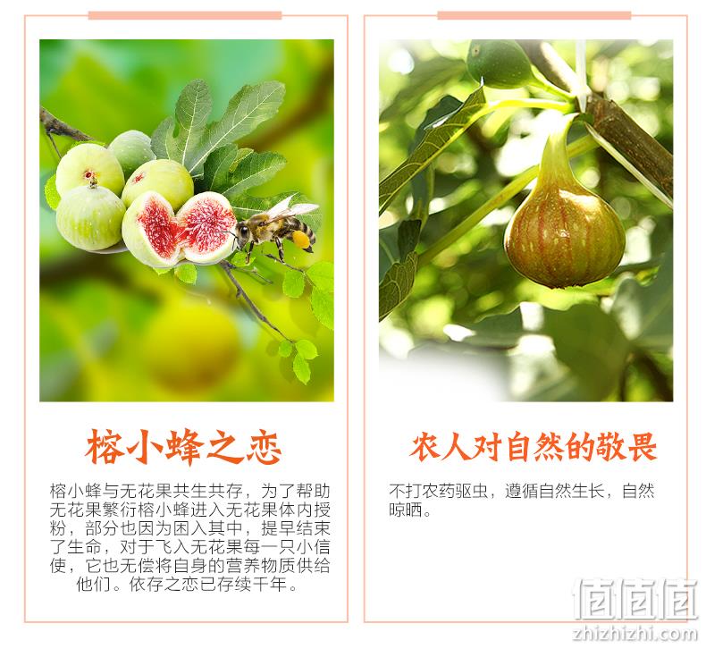 新疆直供 楼兰蜜语 无花果干 225gx2袋 券后25.9元包邮 值值值-买手聚集的地方