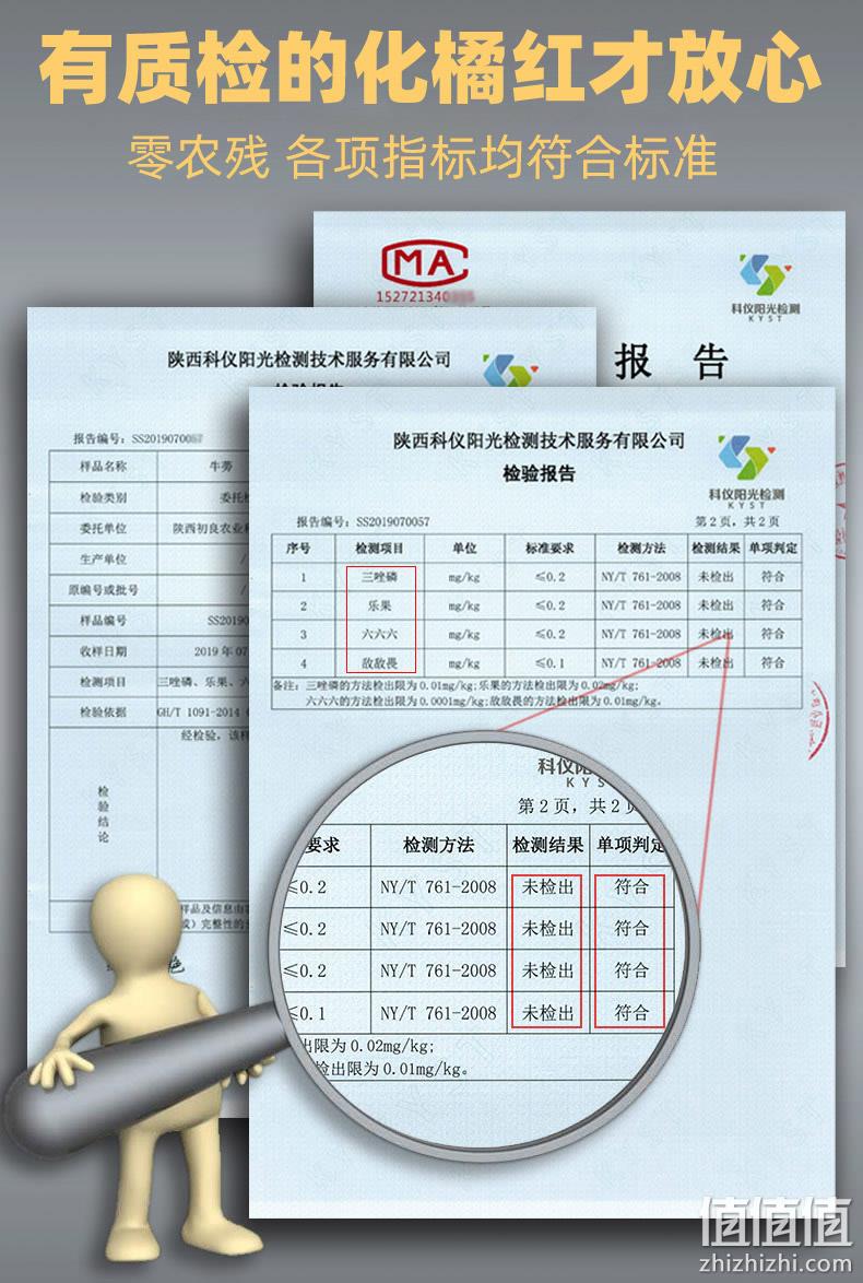 十年陈华，止咳健脾消食：橘珍堂 橘红切片 100g 9.9元包邮 值值值-买手聚集的地方