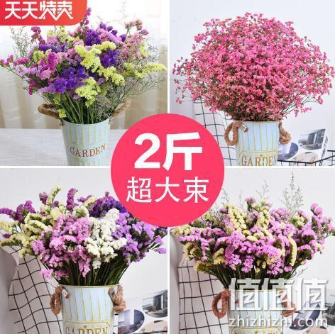 欣华隆 勿忘我 云南天然干花 超大束2斤 11.8元包邮 值值值-买手聚集的地方