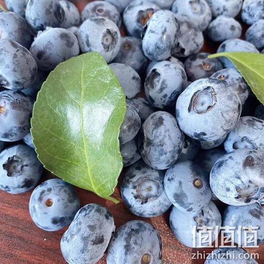 鑫久盈 蓝莓 中果 125gx12盒 plus会员143元包邮 值值值-买手聚集的地方