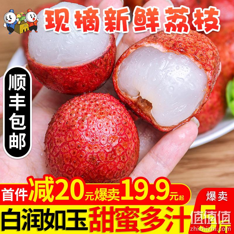 雪人兄弟 海南妃子笑 新鲜荔枝 3斤 券后19.9元包顺丰 值值值-买手聚集的地方