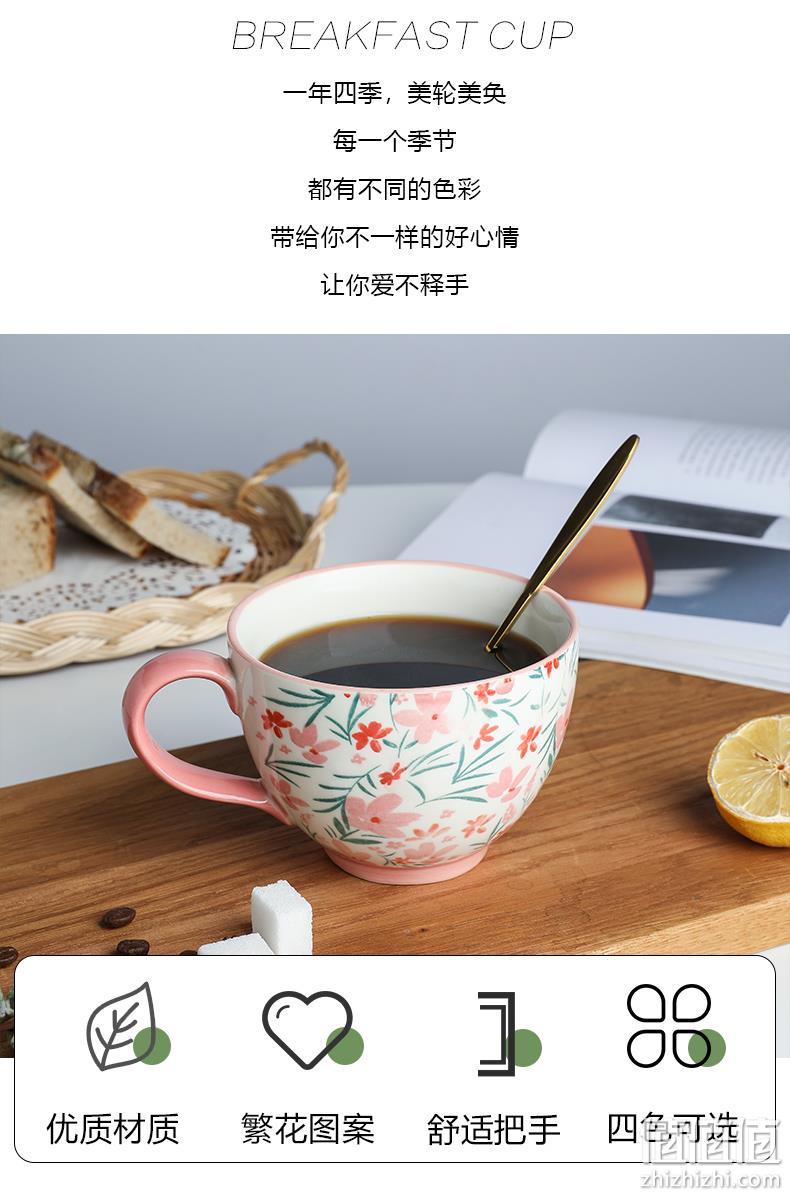 4.9分，釉下彩，可做早餐杯：450ml Tinyhome 田园风马克杯 券后13.8元起包邮 值值值-买手聚集的地方