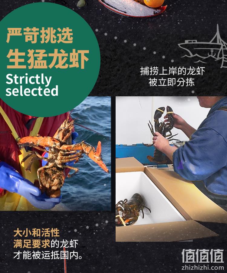 味库海鲜 鲜活波士顿龙虾 450g-550g/只 死亡包赔 券后229元包邮 值值值-买手聚集的地方