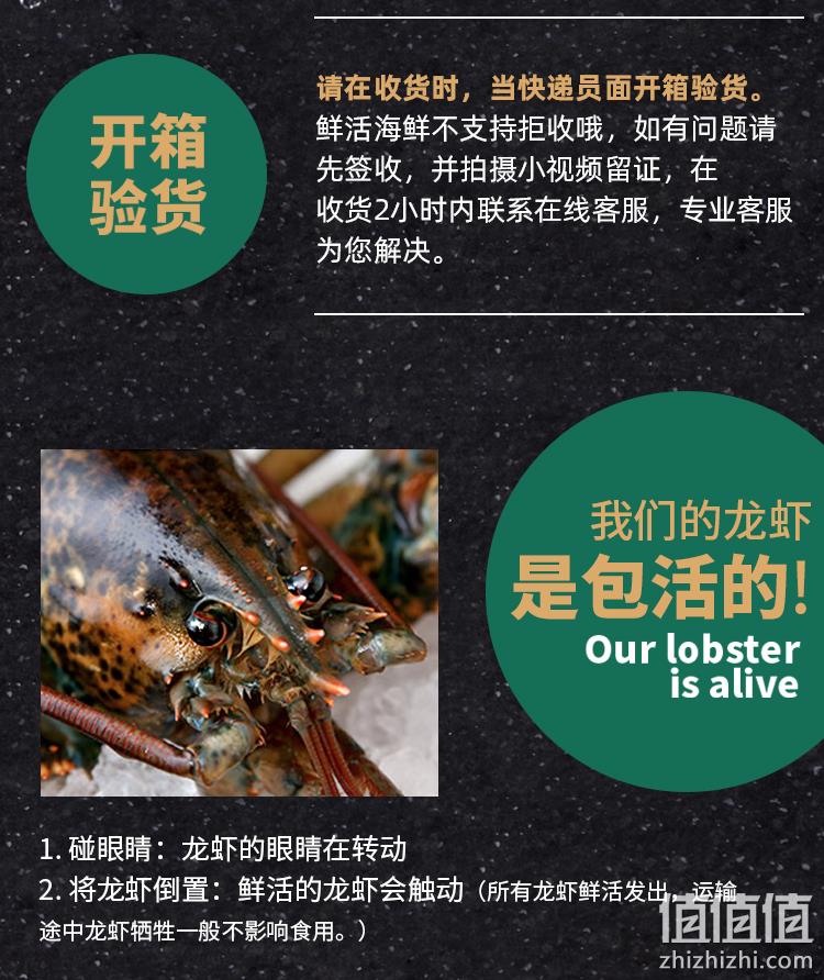 味库海鲜 鲜活波士顿龙虾 450g-550g/只 死亡包赔 券后229元包邮 值值值-买手聚集的地方