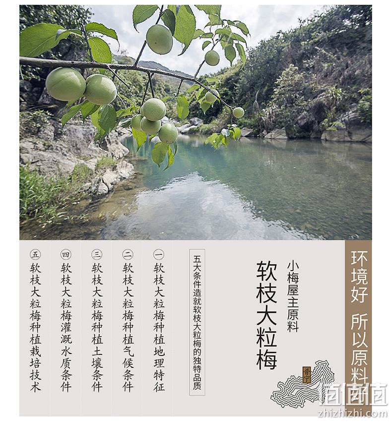 宋茜机场同款，小梅屋 梅子组合 4盒装 25.8元包邮 值值值-买手聚集的地方