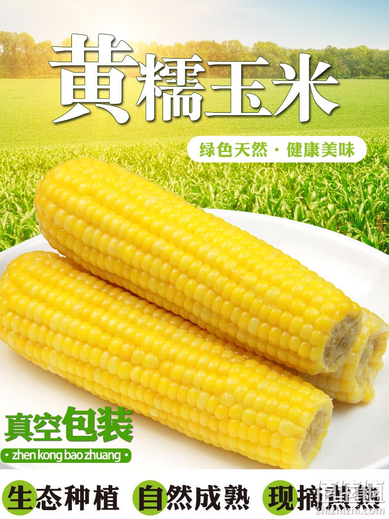 非转基因：逸知鲜 东北即食新鲜甜糯玉米棒 300gx8根 17.9元包邮 值值值-买手聚集的地方