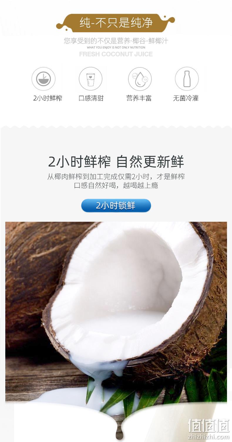 2小时鲜榨，0添加：245gx10瓶 椰谷 椰子汁 34.9元包邮（超市1瓶7元） 值值值-买手聚集的地方