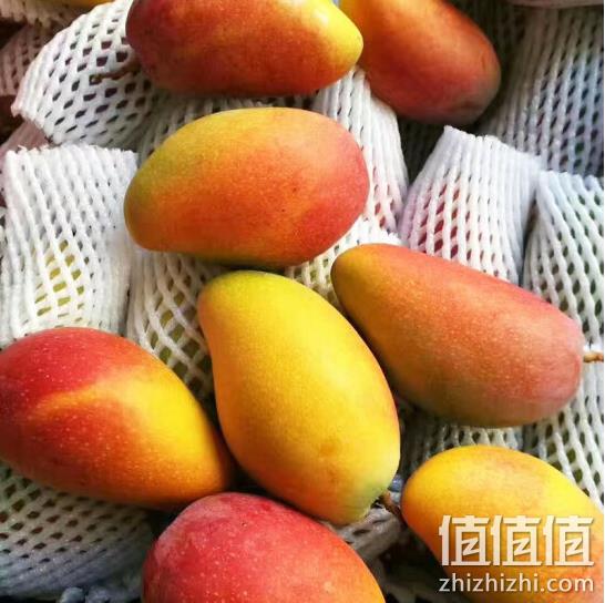 京东生鲜：海南贵妃芒果 5斤装 12.8元 值值值-买手聚集的地方