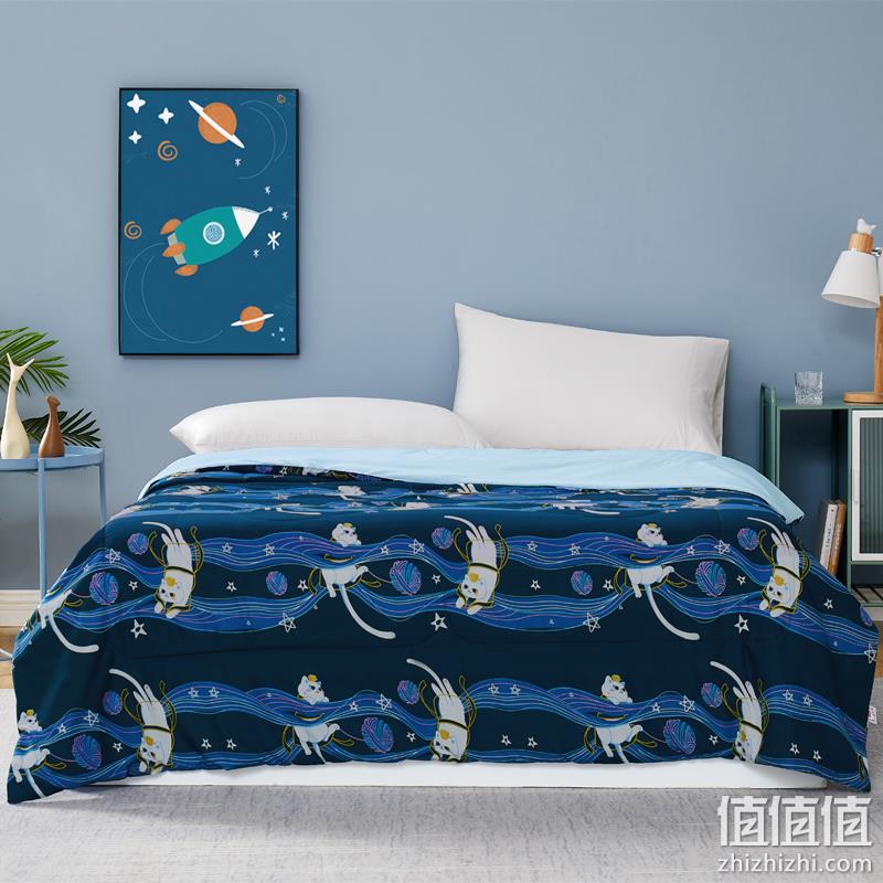0点开始、故宫御猫星空联名款：BERKSHIRE LIFE 冰丝冷感夏凉被 150x200cm 79元起包邮 值值值-买手聚集的地方