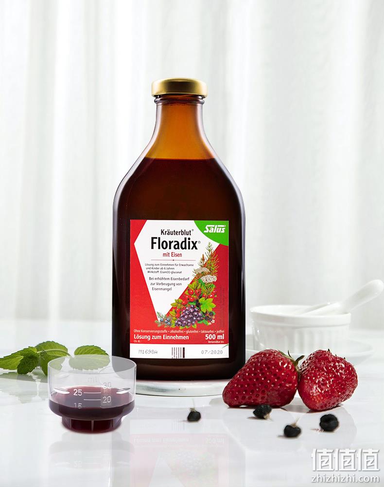 德国原装 莎露斯 Salus floradix红铁元 500mlx2瓶 儿童孕妇女补铁补气血 券后206元包邮 值值值-买手聚集的地方