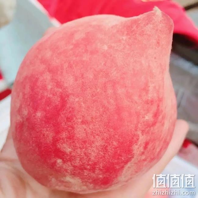 好货免费送 值值值直播 今晚 19点30不见不散！ 迪桑特、TNF、爱步、法鳄好价全都有！好吃好喝的统统白菜价！ 值值值-买手聚集的地方