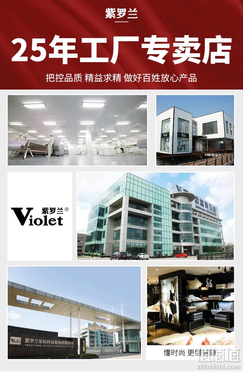 防螨率89%，纯棉抗菌可水洗：1对 紫罗兰 全棉刺绣丝绒枕头 48元起包邮 值值值-买手聚集的地方