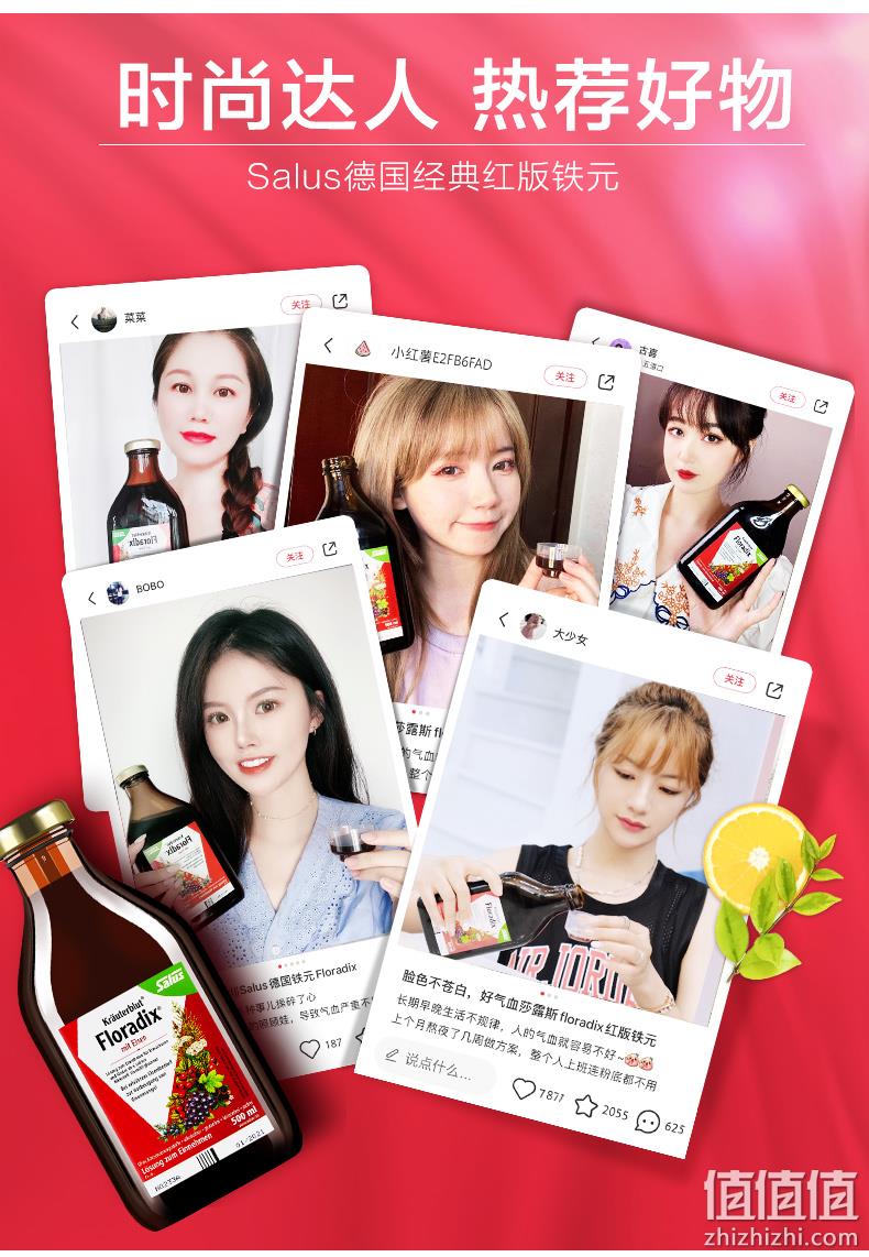 德国原装 莎露斯 Salus floradix红铁元 500mlx2瓶 儿童孕妇女补铁补气血 券后218元包邮 值值值-买手聚集的地方